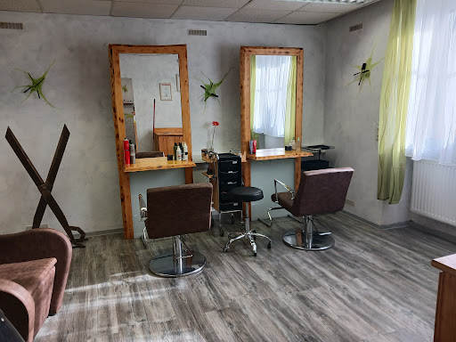 Frisierstubn ALEX – Langau