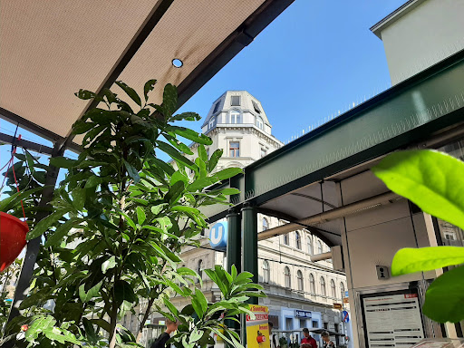 Salon Maria Labutta – Vienna