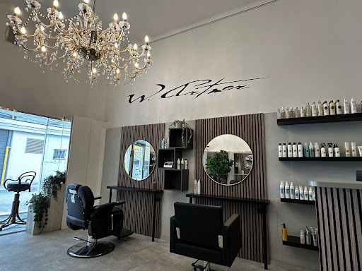 Kamm In Hairstyle W. Artner – Vienna