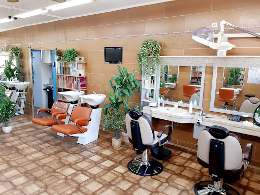 Friseur Hautz – Wiener Neustadt