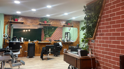 Alpha hairstyling – Vienna