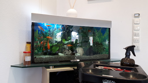 Elke Bleckenwegner-Lammer – Frankenburg