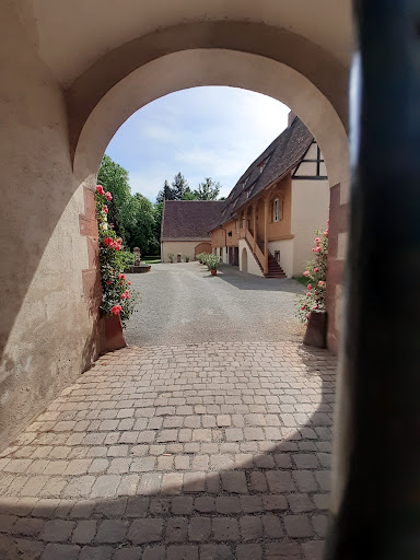 Friseur am Schloss by Lidia Amella – Königsbach-Stein