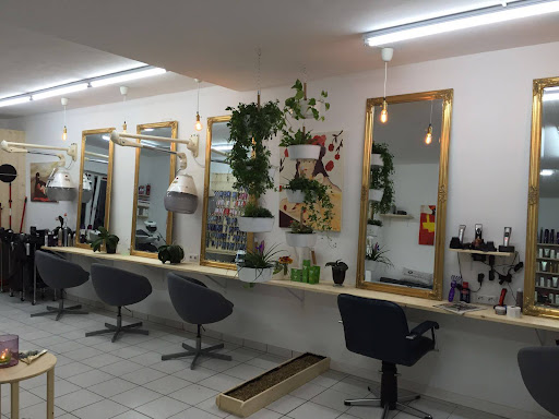 Friseur Vernissage by Vanessa Krenn – Hollabrunn
