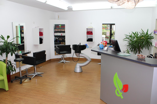 Friseurteam Pfister & Joas inh. Marcel Pfister – Munich