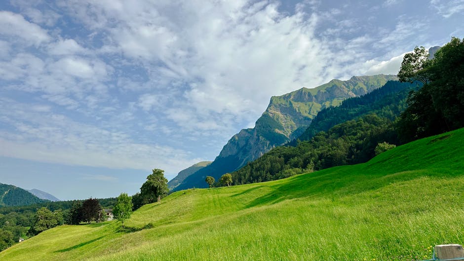Frisierstube Heidi – Miesenbach