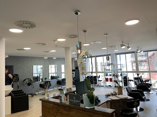 Haar Segment – Dornbirn