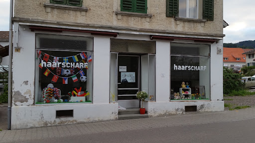 Haarscharf – Wald