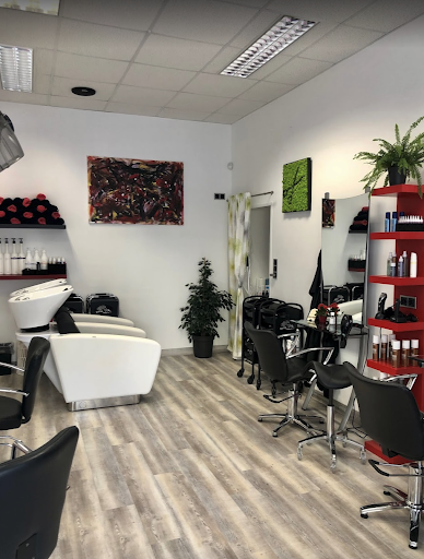 HAIR – schau`n – Bad Vöslau