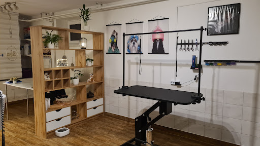 Hundesalon DoggyStyle – Vitis