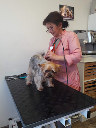 Hundestudio Struppelpeter Sabina Genewein – General