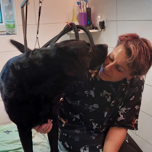 Hundestyling Melanie – Jenig