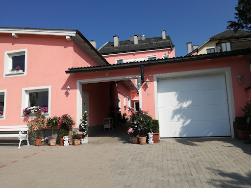 Intercoiffeur Daniela – Schwanenstadt