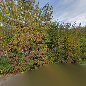 Kolibri-Hair – Tschagguns