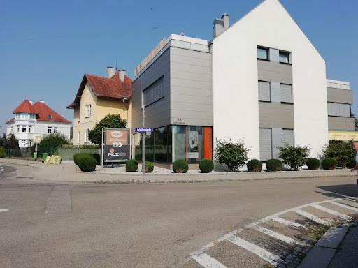 PILZKÖPFE – Hairstyling – Ried im Innkreis