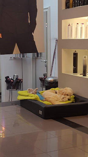 Salon Haargenau – Limburg