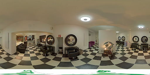 Schneidewerk E.u. – Wiener Neustadt