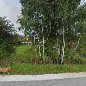 Frisör Ilse – Luger Ilse – Schönau im Mühlkreis